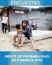 VIDEOS TUTORIALES PPI